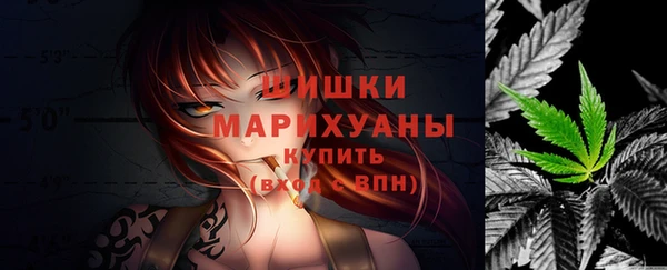 молекула духа Лихославль