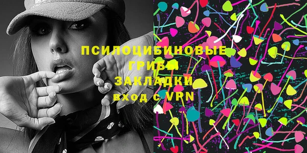 молекула духа Лихославль