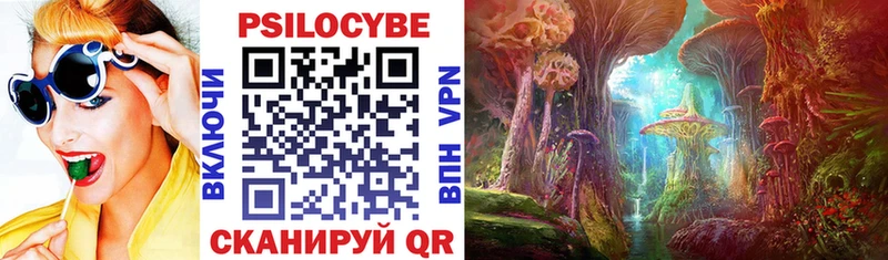 Псилоцибиновые грибы Psilocybe  Купить закладки  Химки